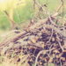 Фото: Shutterstock