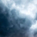 Фото: Shutterstock