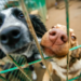 Фото: Shutterstock
