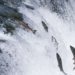 Фото: Shutterstock
