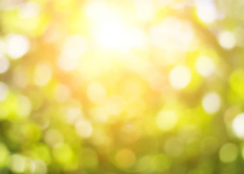 Фото: Shutterstock