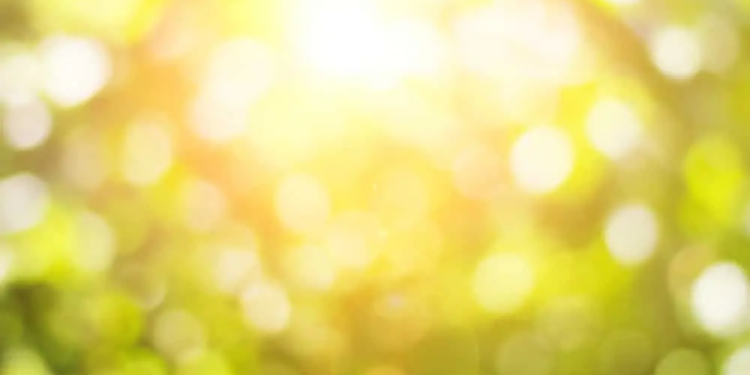 Фото: Shutterstock