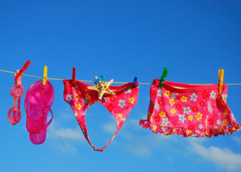 Фото: Shutterstock