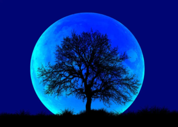 Фото: Shutterstock
