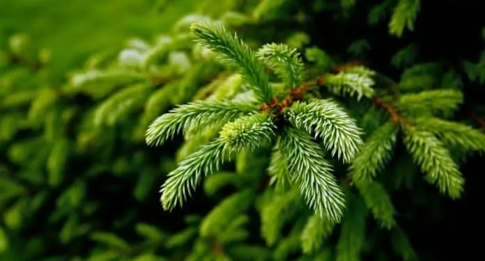 Фото: Shutterstock