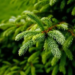 Фото: Shutterstock