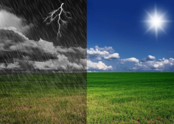 Фото: Shutterstock