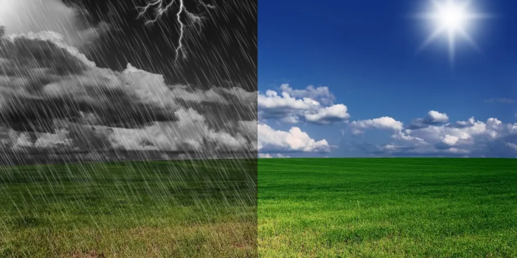 Фото: Shutterstock