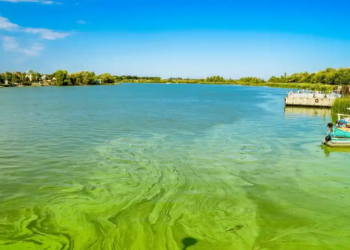 Фото: Shutterstock