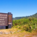 Фото: Shutterstock