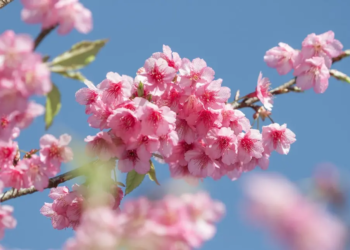 Фото: Shutterstock