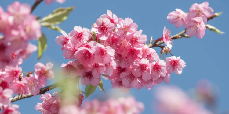 Фото: Shutterstock