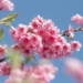 Фото: Shutterstock