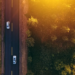 Фото: Shutterstock