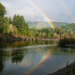 Фото: Shutterstock