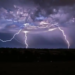 Фото: Shutterstock