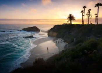 Фото: Shutterstock
