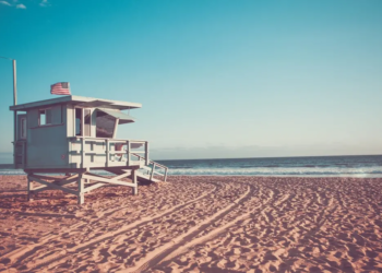 Фото: Shutterstock