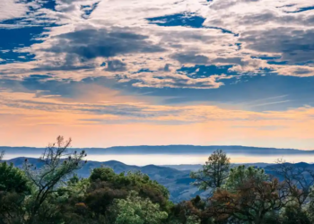 Фото: Shutterstock