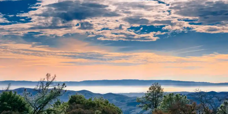 Фото: Shutterstock