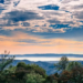 Фото: Shutterstock
