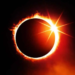Фото: Shutterstock
