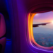 Фото: Shutterstock