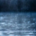 Фото: Shutterstock