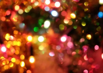 Фото: Shutterstock