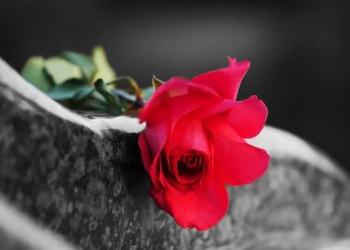 Фото: Shutterstock