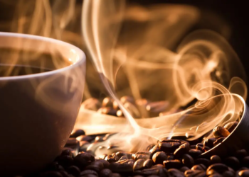 Фото: Shutterstock