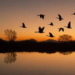 Фото: Shutterstock