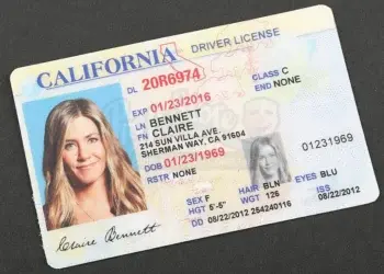 водительские права сша