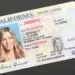 водительские права сша