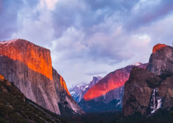 Фото: Shutterstock