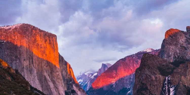 Фото: Shutterstock