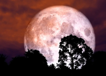 Фото: Shutterstock