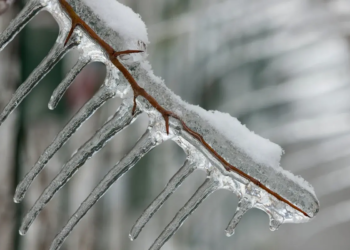 Фото: Shutterstock