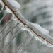 Фото: Shutterstock