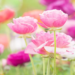 Фото: Shutterstock