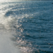 Фото: Shutterstock