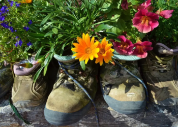 Фото: Shutterstock