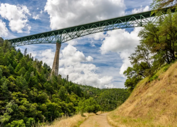 Фото: Shutterstock