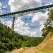 Фото: Shutterstock