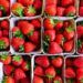 Фото: Shutterstock