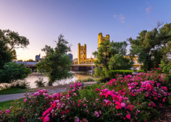 Фото: Shutterstock
