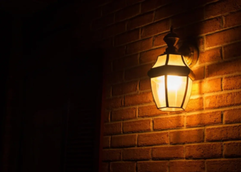 Фото: Shutterstock