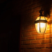 Фото: Shutterstock