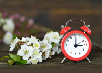 Фото: Shutterstock