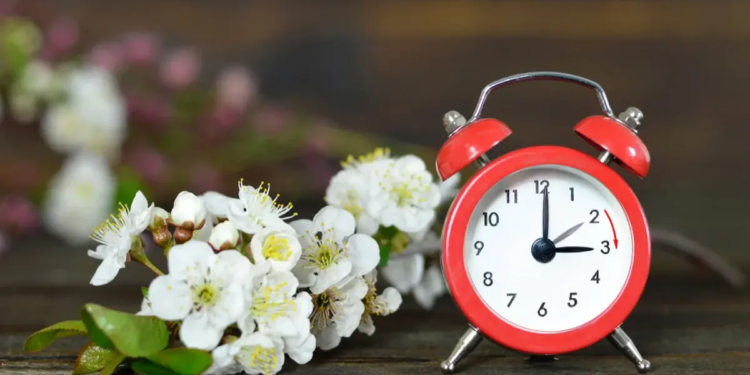 Фото: Shutterstock